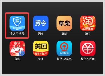 2025年度个人所得税综合所得年度汇算申报如何预约？